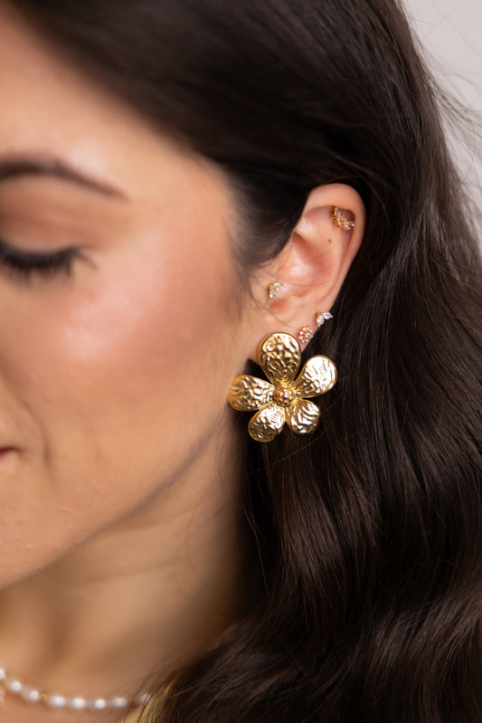 Brincos You Look Like Spring